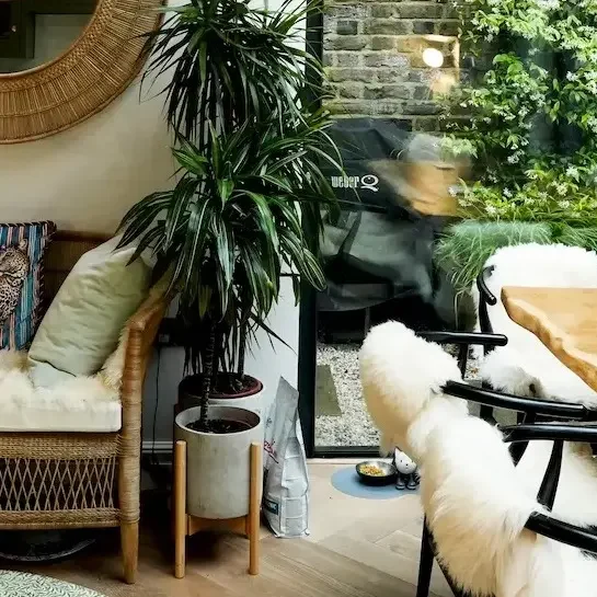 kitchen-renovation-london-chelsea-glass-extension-1 (2)